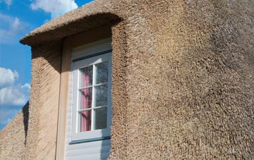 South Straiton thatch roof disadvantages